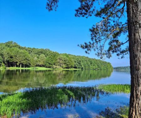 Tims Ford Fairview Campground