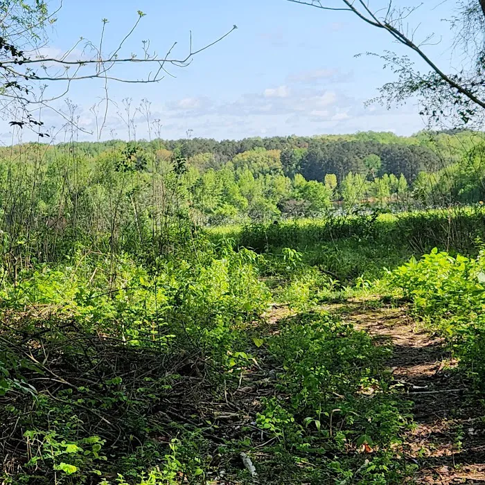 Tims Ford Fairview Campground Picture 8