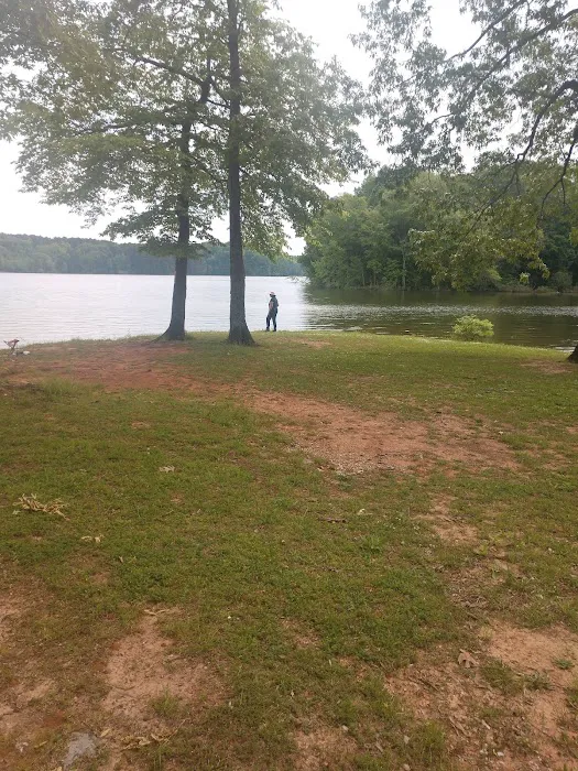Tims Ford Fairview Campground Picture 9