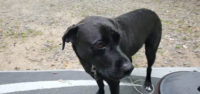 Monocle Lake Campground Picture 4