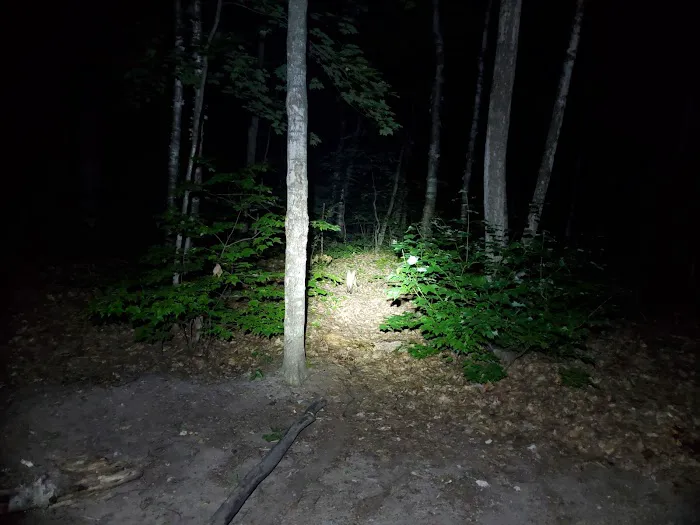 Monocle Lake Campground Picture 10