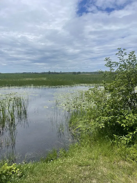 Natalie State Forest Campground Picture 4