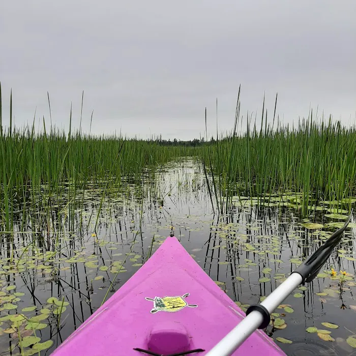 Natalie State Forest Campground Picture 1