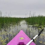 Natalie State Forest Campground