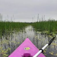 Natalie State Forest Campground ico