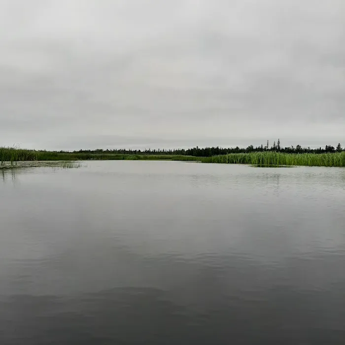 Natalie State Forest Campground Picture 2