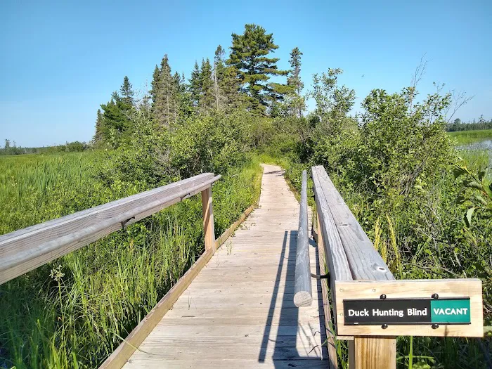 Natalie State Forest Campground Picture 6