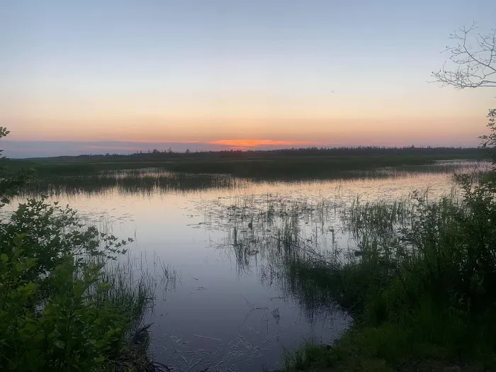 Natalie State Forest Campground Picture 10
