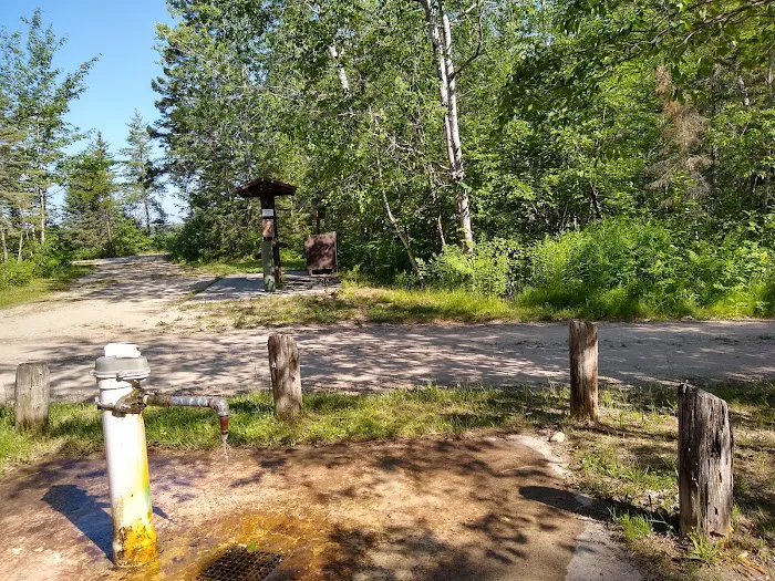 Natalie State Forest Campground Picture 5