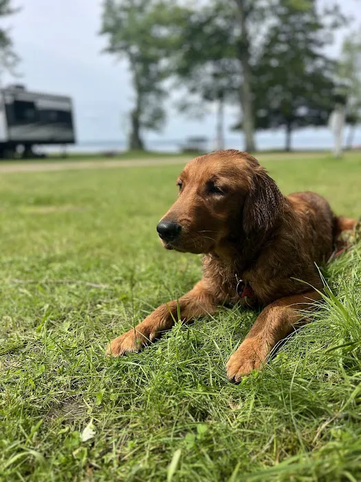 Big Lake Campground Picture 2