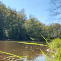 Confluence Camping Boat Launch & Rental ( KALLIOS LANDING) ico