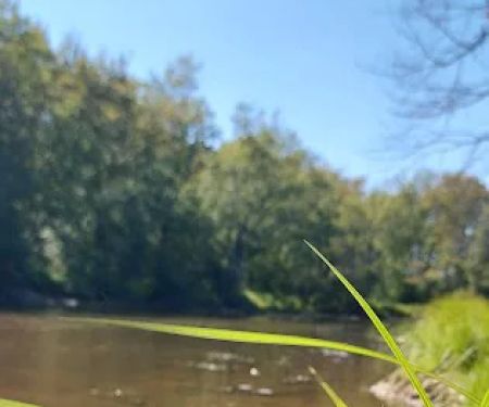 Confluence Camping Boat Launch & Rental ( KALLIOS LANDING)