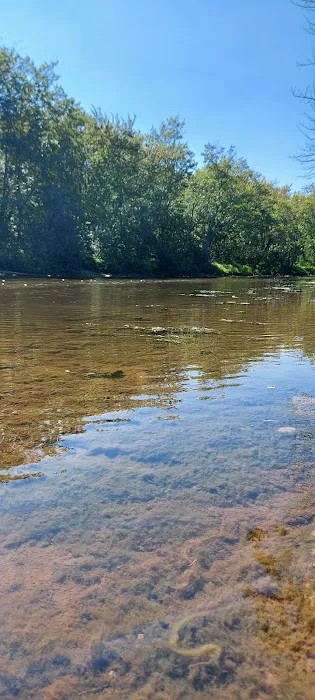 Confluence Camping Boat Launch & Rental ( KALLIOS LANDING) Picture 7