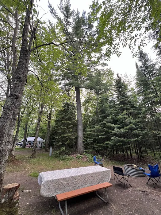 Tahquamenon Falls State Park Rivermouth Campgrounds Picture 4
