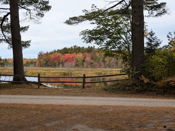Tahquamenon Falls State Park Rivermouth Campgrounds Picture 5