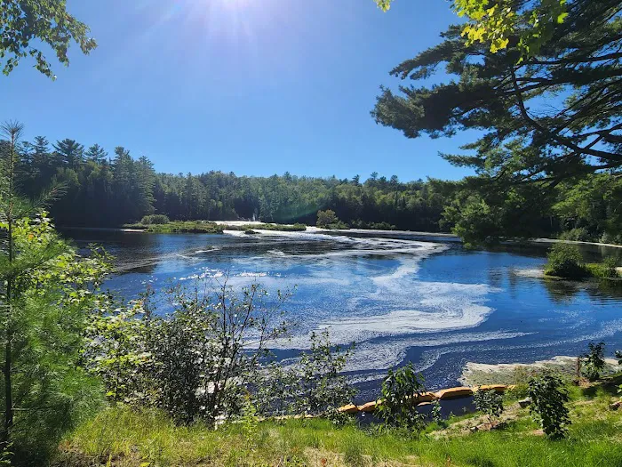 Tahquamenon Falls State Park Rivermouth Campgrounds Picture 2