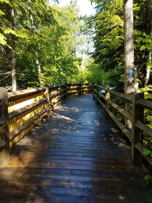 Tahquamenon Falls State Park Rivermouth Campgrounds Picture 6