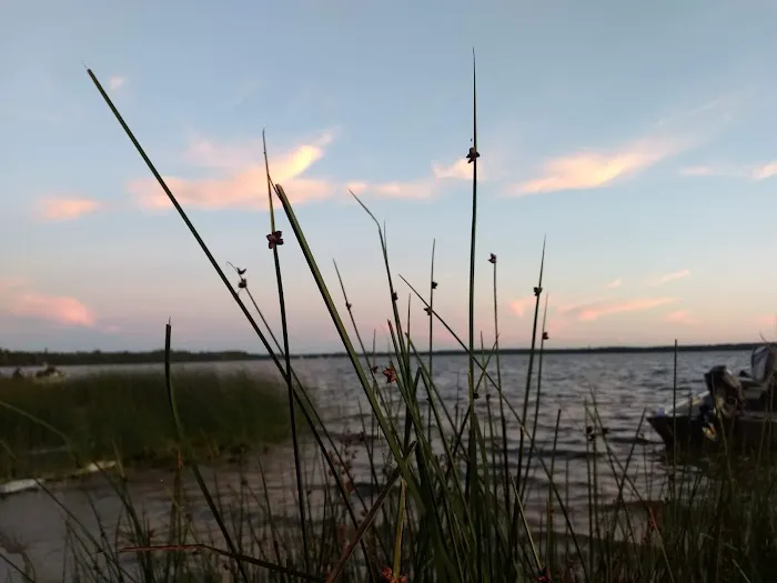 Milakokia Lake Campground Picture 2