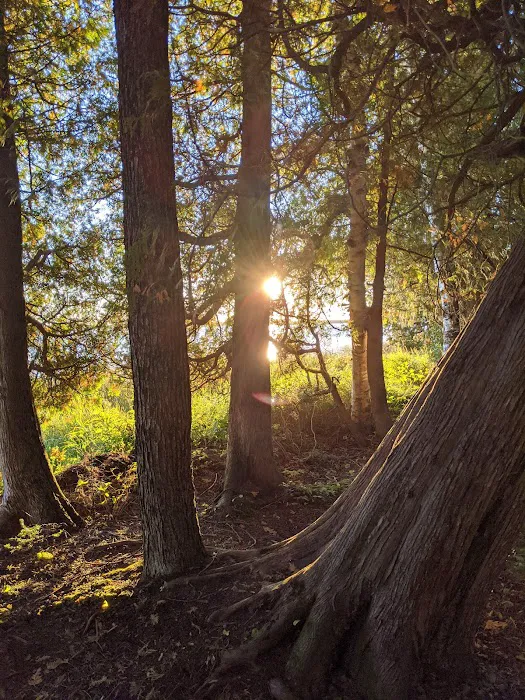 Milakokia Lake Campground Picture 8