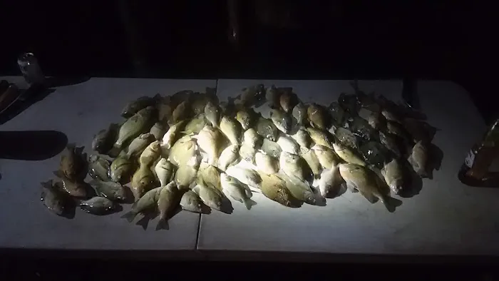 South Manistique Lake Campground Picture 8