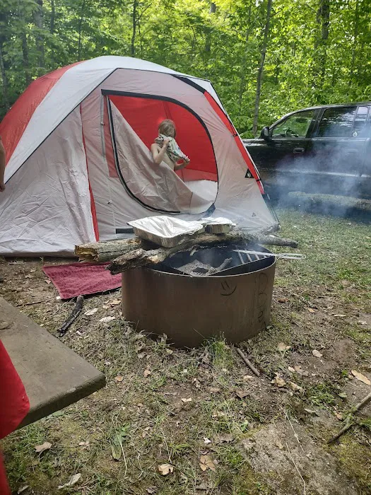 South Manistique Lake Campground Picture 9