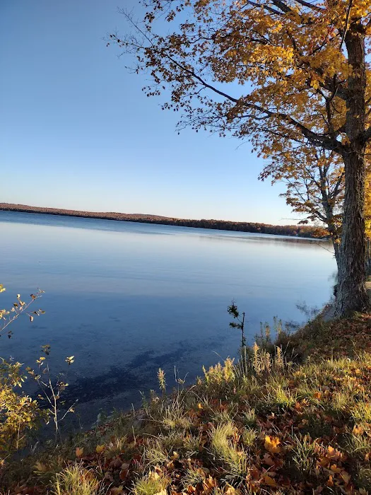 Luce County Park and Campground Picture 4