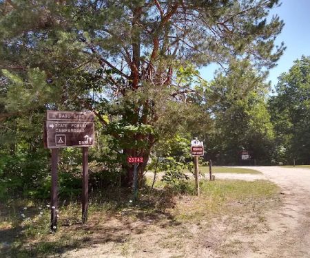 Bass Lake State Forest Campground (Luce)