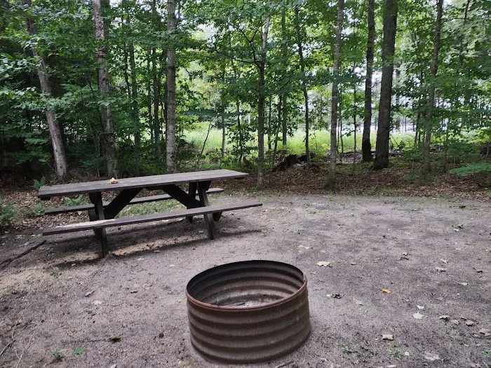 Bass Lake State Forest Campground (Luce) Picture 5