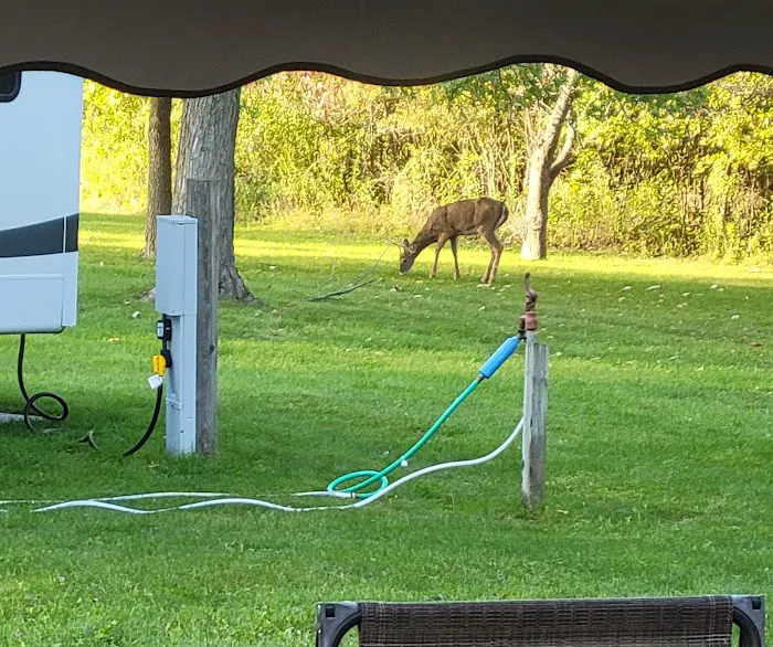 Bald Eagle Campground Picture 9