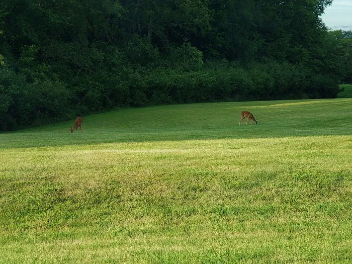 Pine Grove Campground Picture 8