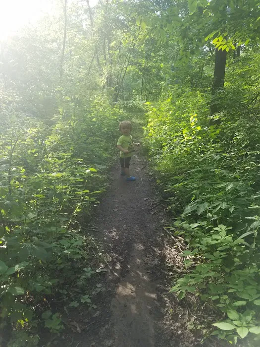 Pike Lake State Park Campground Picture 3