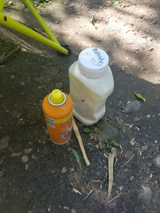 Pike Lake State Park Campground Picture 5