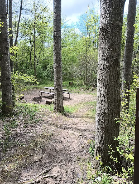 Pike Lake Backpacking Campsites Picture 6