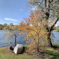 Lake Lenwood Beach & Campground ico