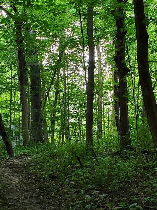 Timber Trail Camp Ground Picture 3