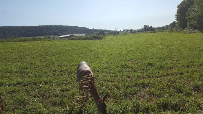 Tuckaway Campground Picture 6