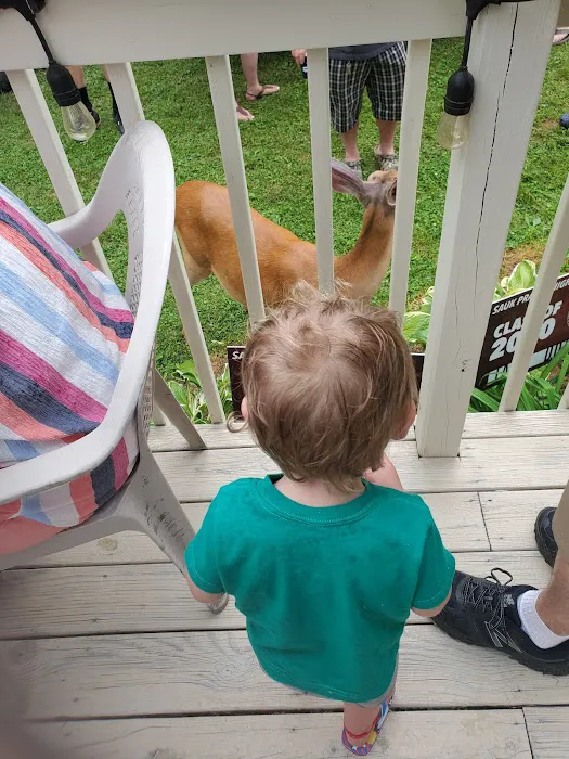 Tuckaway Campground Picture 10