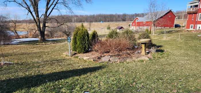 Green Valley Campground Picture 1