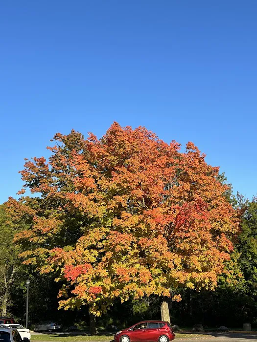 Northern Lights Campground Picture 10