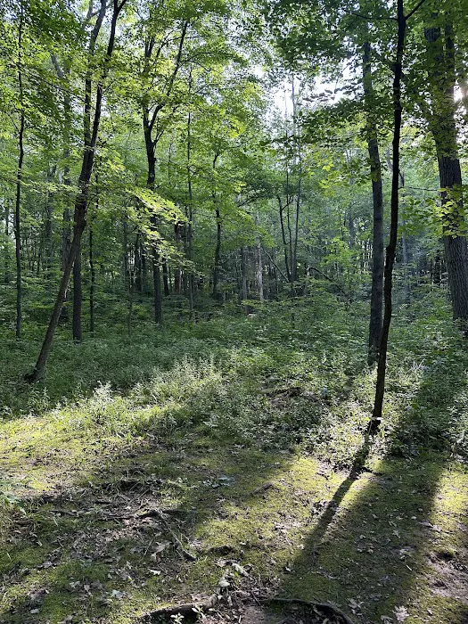 Upper Ice Age Campground Picture 6