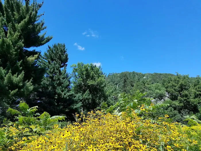 Ice Age Trail Campground Picture 2