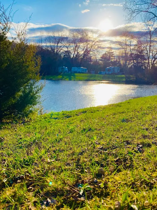 Skillet Creek Campground Picture 10