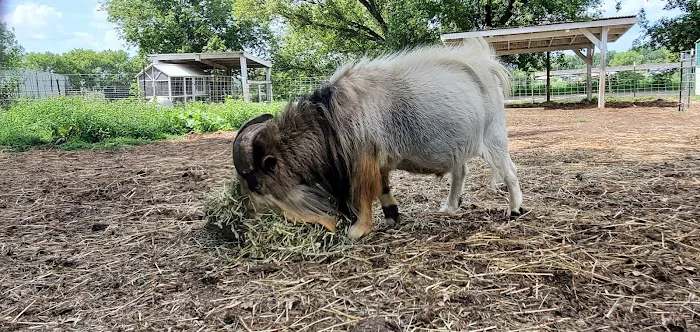 Double K-D Ranch Campground Picture 7