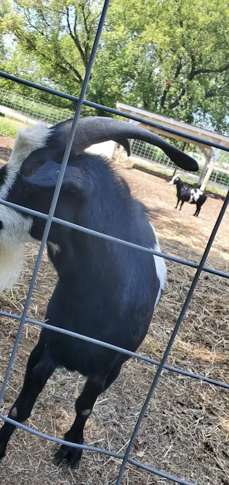 Double K-D Ranch Campground Picture 6