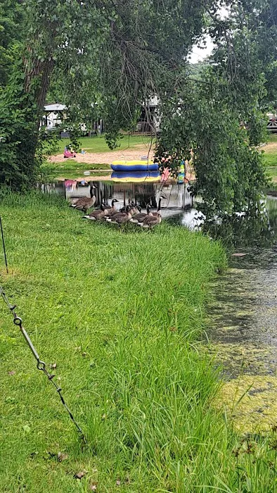 Double K-D Ranch Campground Picture 10