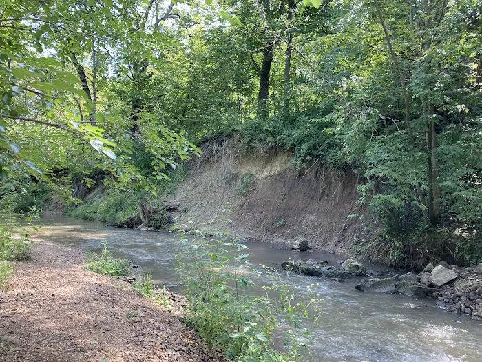 Swiss Valley Campground Picture 6