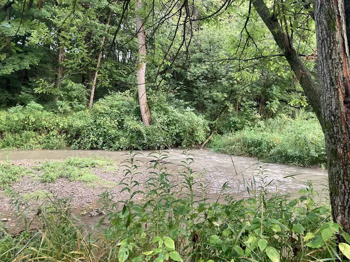 Swiss Valley Campground Picture 7