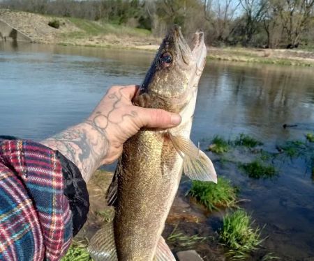 Lakehurst Riverside Campgrounds