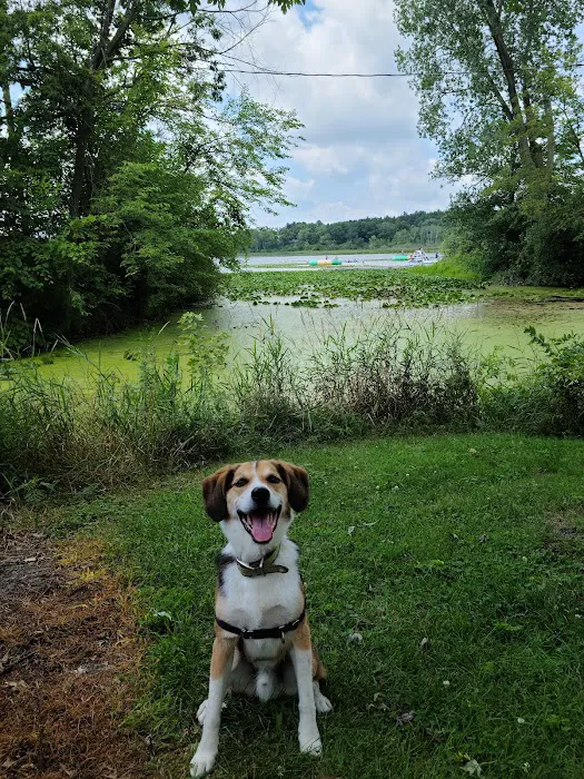Pride of America Lake George Picture 6