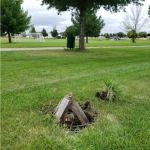 Wild Goose Hike-In Campsites